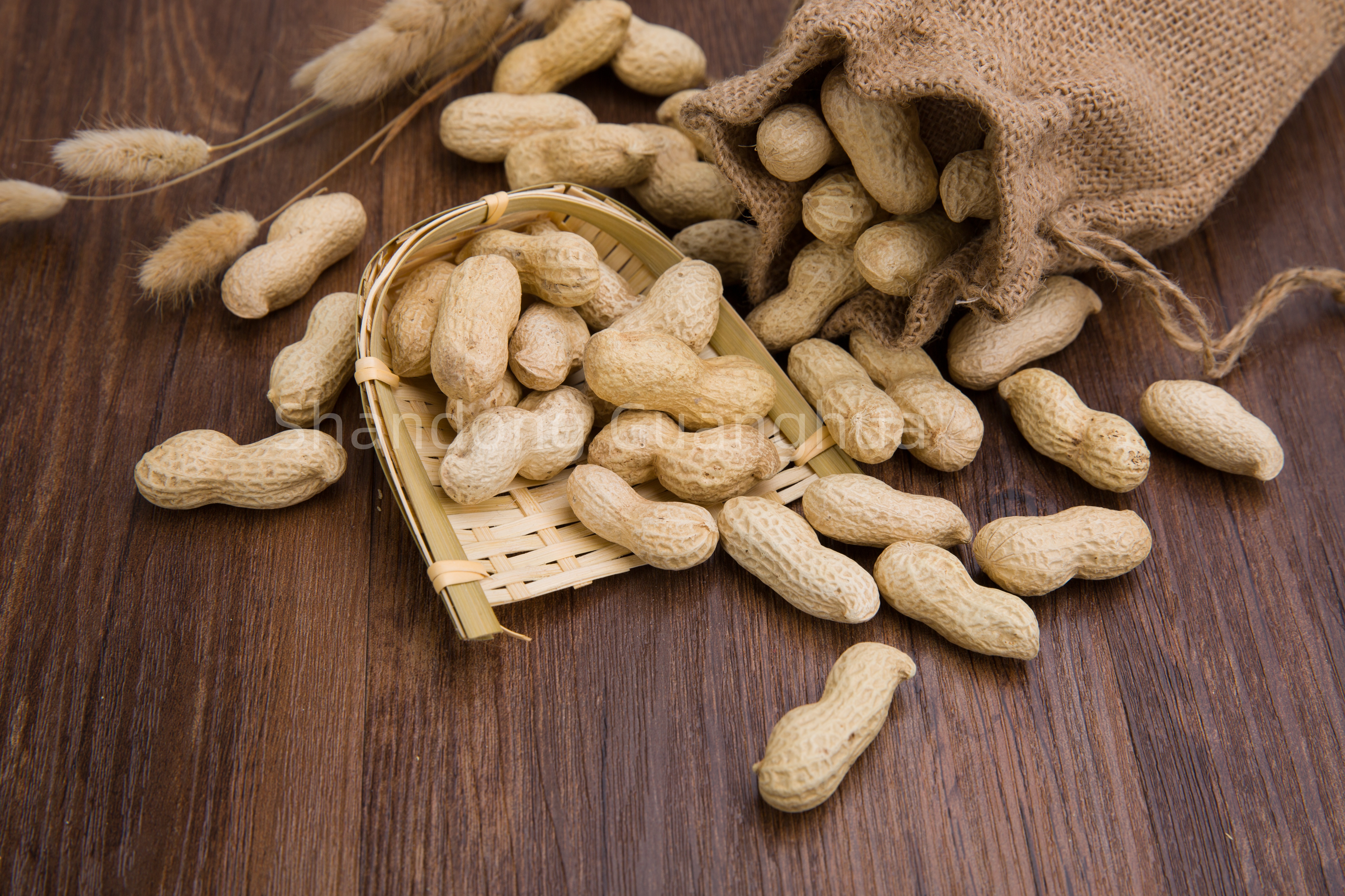 Descubre el valor nutricional del maní tostado como snack saludable