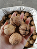 Cosecha de nueces de origen chino 2024